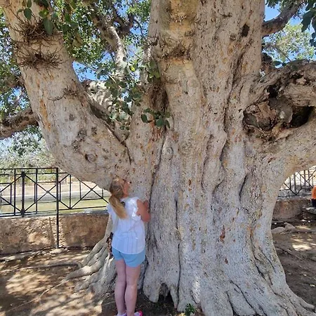 Awaken Your Hidden Goddess Retreat At Nissi Avenue - Apartamento *