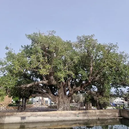 Lejlighed Awaken Your Hidden Goddess Retreat At Nissi Avenue - *