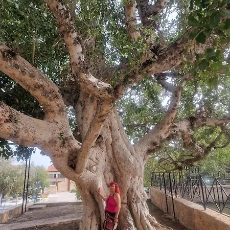 Apartamento Awaken Your Hidden Goddess Retreat At Nissi Avenue -