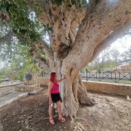 Awaken Your Hidden Goddess Retreat At Nissi Avenue - Lejlighed