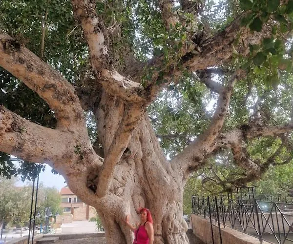 アパート Awaken Your Hidden Goddess Retreat At Nissi Avenue -