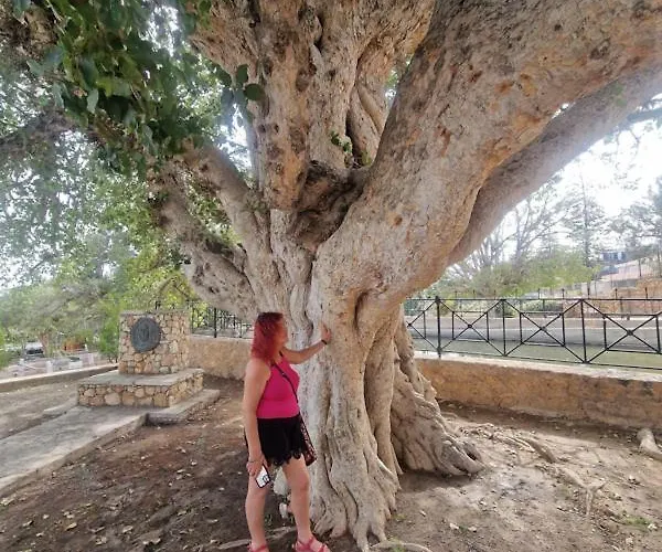 Awaken Your Hidden Goddess Retreat At Nissi Avenue - アパート